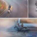 В Лоде муниципальная инспекция задержала подростка, устроившего опасную скачку на лошади по улицам города